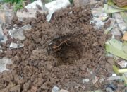 DLH Kota Tangerang Lakukan Konservasi Air untuk Atasi Ancaman Defisit Air